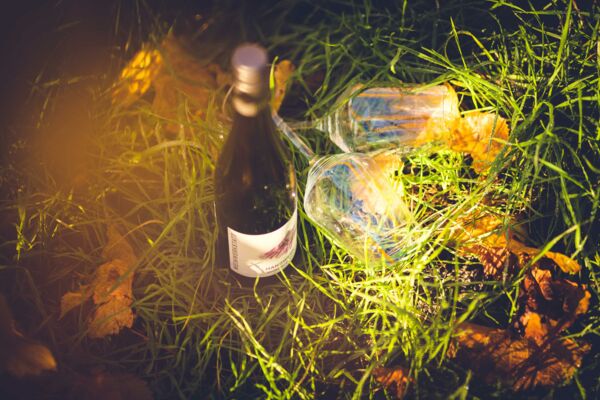 Wein und Gläser im Gras