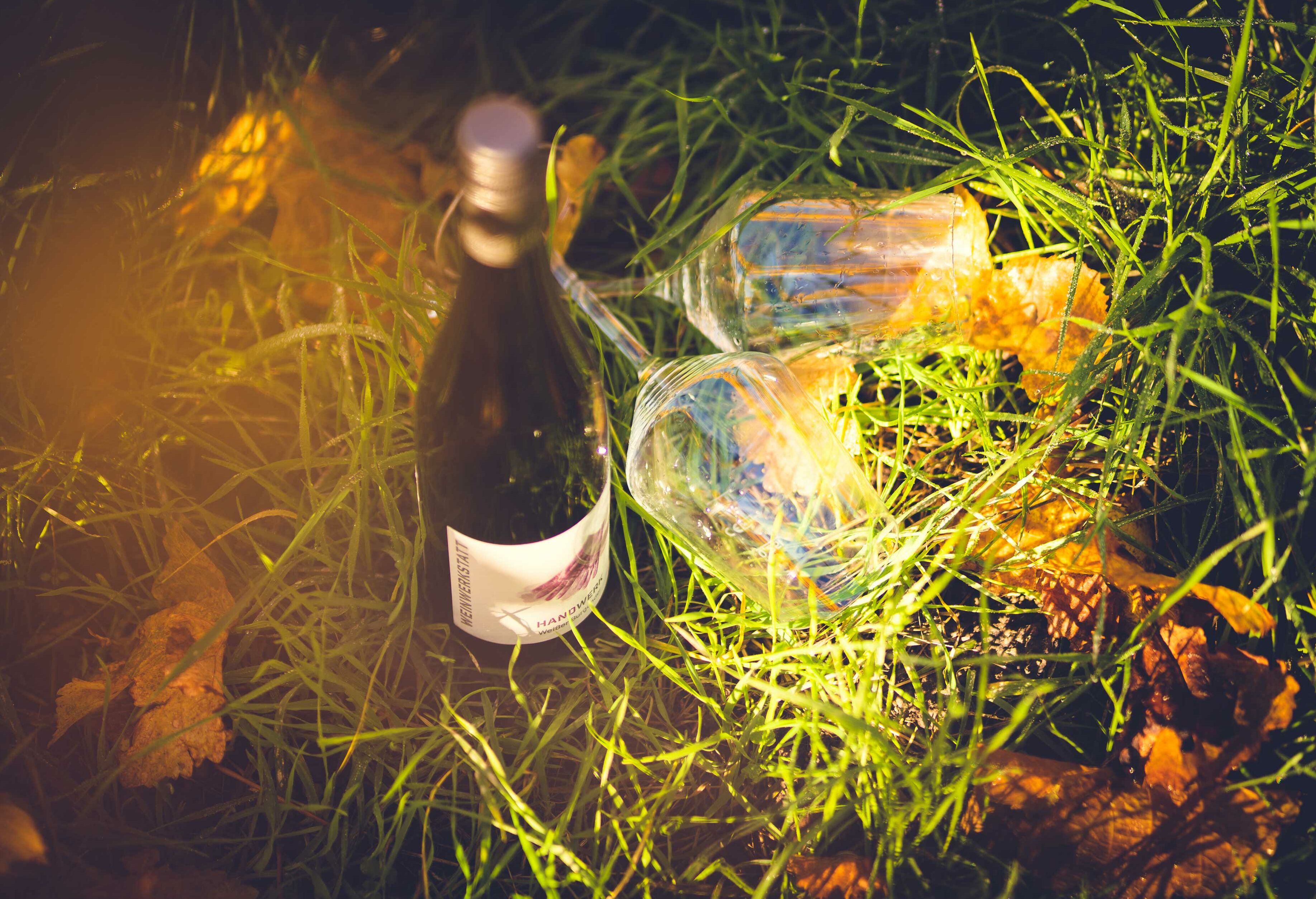 Wein und Gläser im Gras